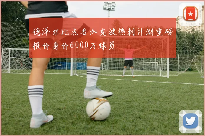 德泽尔比点名加克波热刺计划重磅报价身价6000万球员