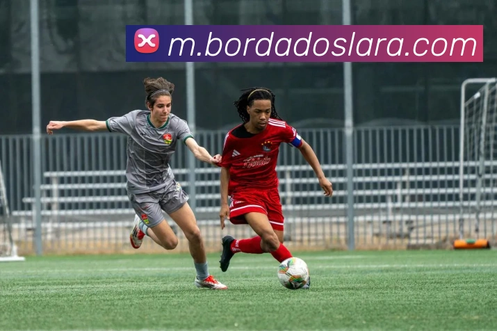 KAIYUNSPORTS官网平台生态图